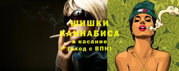 индика Бородино