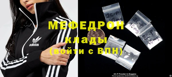 индика Бородино