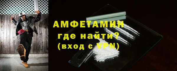 прущие грибы Саяногорск
