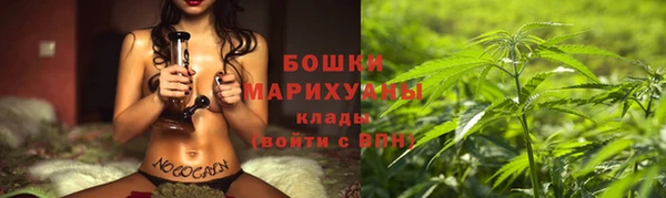 твердый Бронницы
