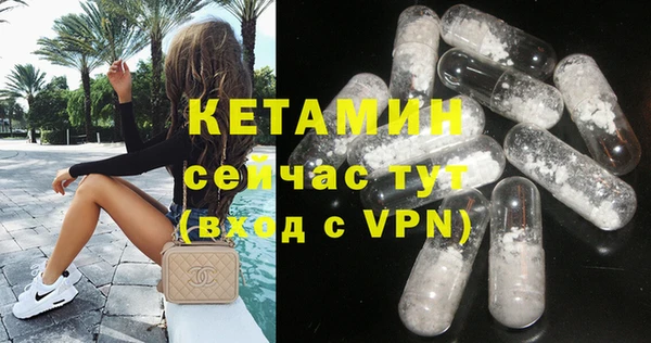индика Бородино