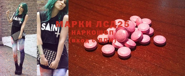 индика Бородино