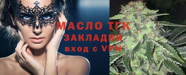 индика Бородино