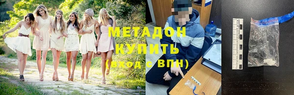 индика Бородино