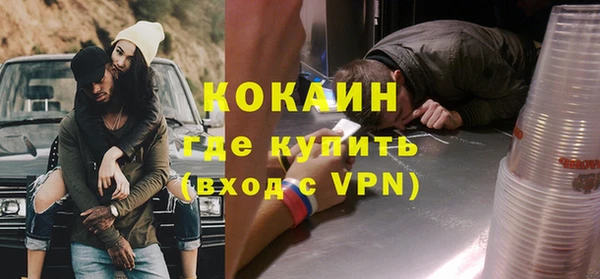 прущие грибы Саяногорск