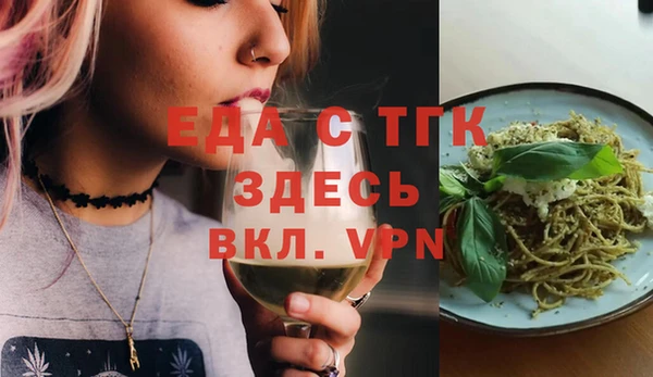 индика Бородино