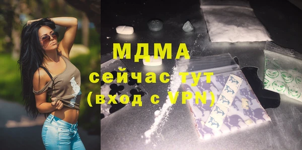 индика Бородино