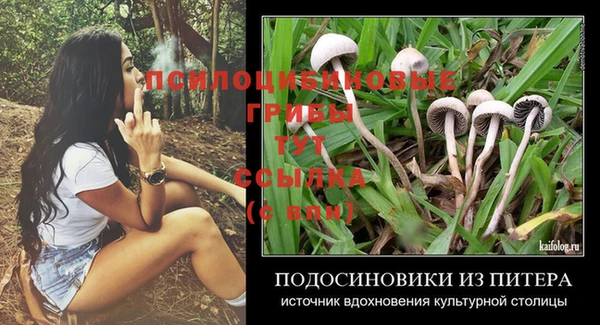 твердый Бронницы
