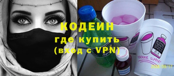 индика Бородино