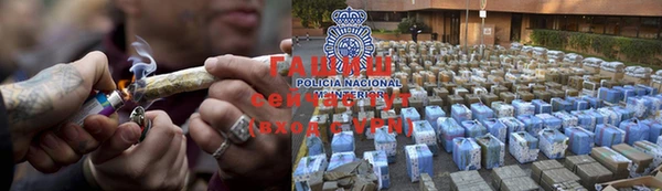 индика Бородино